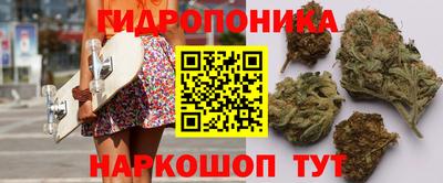 Альфа ПВП Сланцы