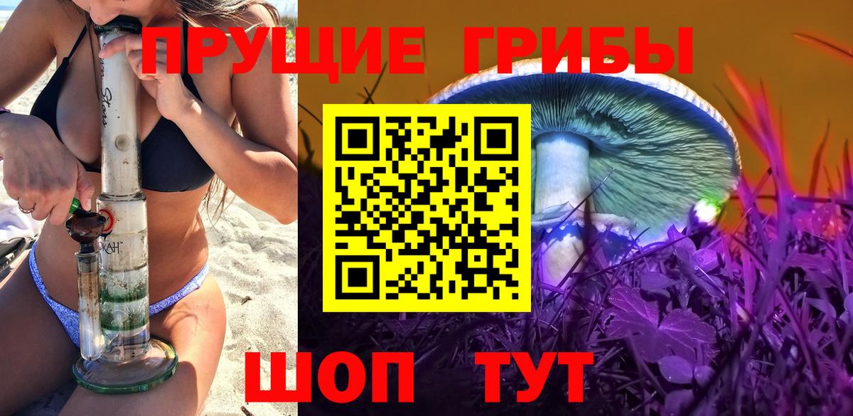 Галлюциногенные грибы Cubensis Москва
