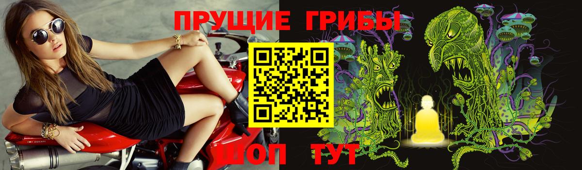Псилоцибиновые грибы Cubensis  Вход с VPN  Галлюциногенные грибы мицелий  продажа наркотиков  Москва 